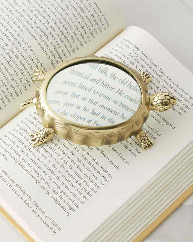 Turtle Magnifying Glass