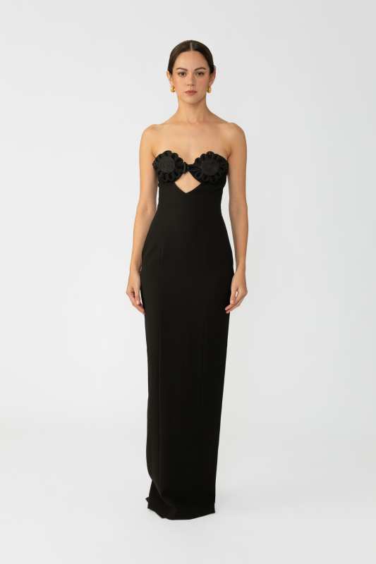 Evelyn Strapless Dress