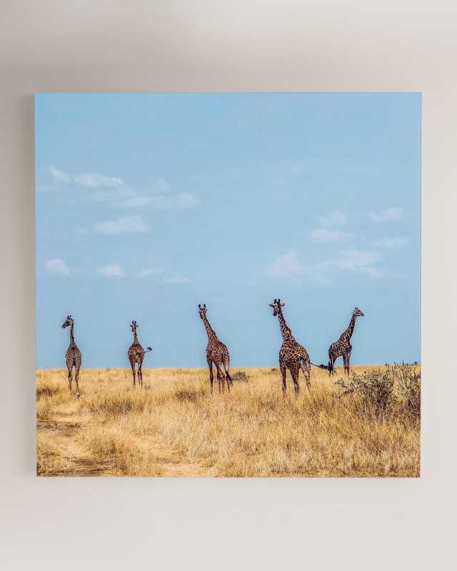 "Walk Away" Photography Print on Maple Box Framed Wall Art