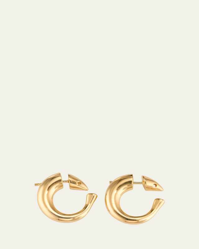 Sardine Hoop Earrings