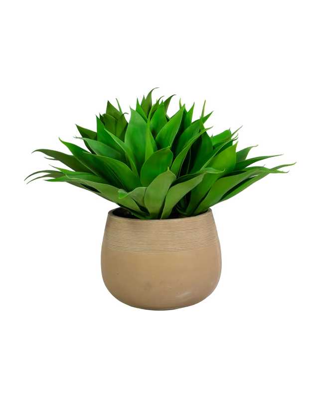 25" Aloe in Stonecast Planter