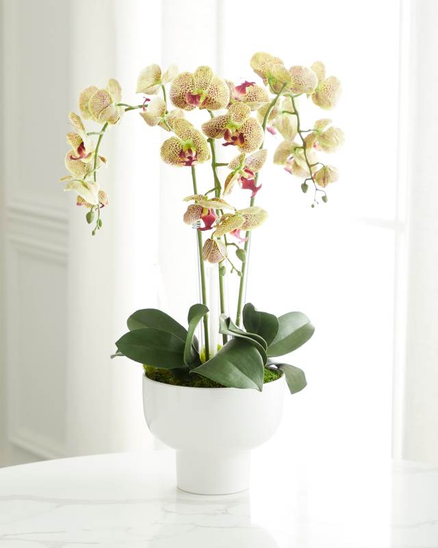 Triple Orchid Faux Florals in White Ceramic Pot with Selenite - 23"