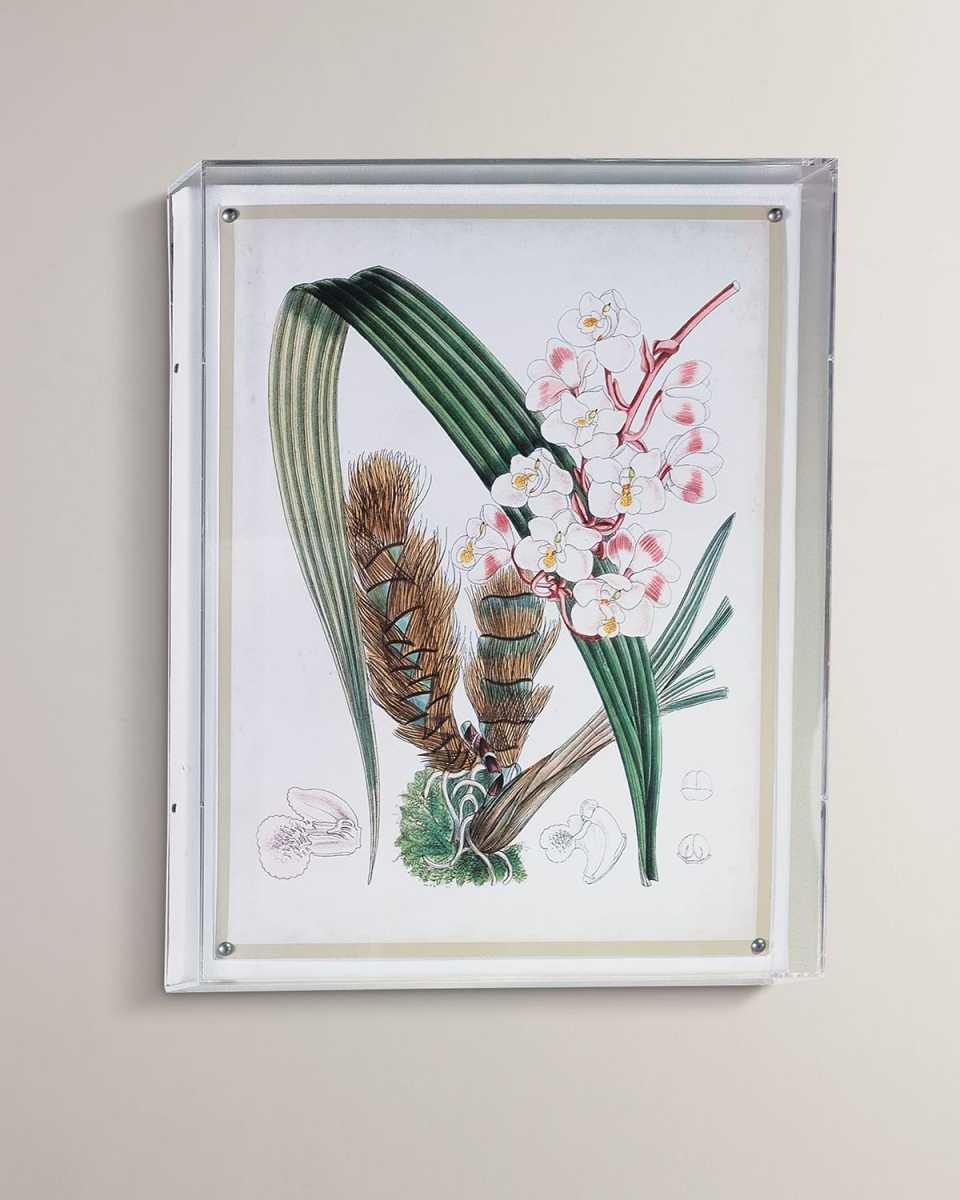 Tropicals VIII Giclee