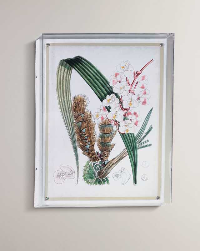 Tropicals VIII Giclee
