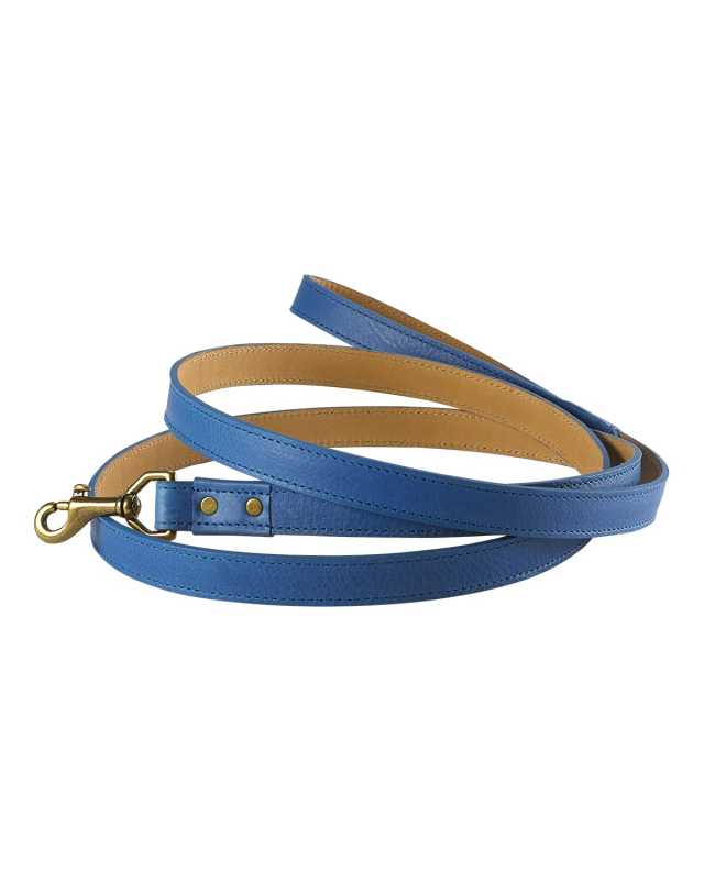 Personalized Dog Leash