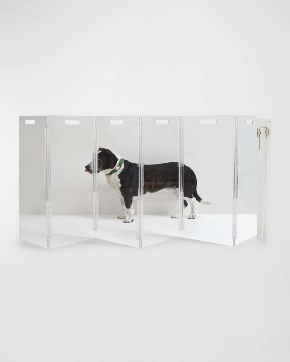 Wall Mounted Clear Pet Gate Zig Zag, 6-P
