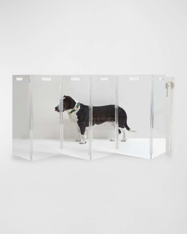 Wall Mounted Clear Pet Gate Zig Zag, 6-P