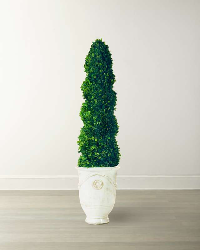Boxwood Spiral in Tuscan Urn