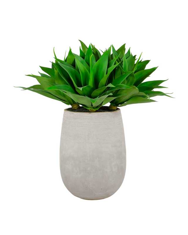 36" Aloe in Stonecast Planter