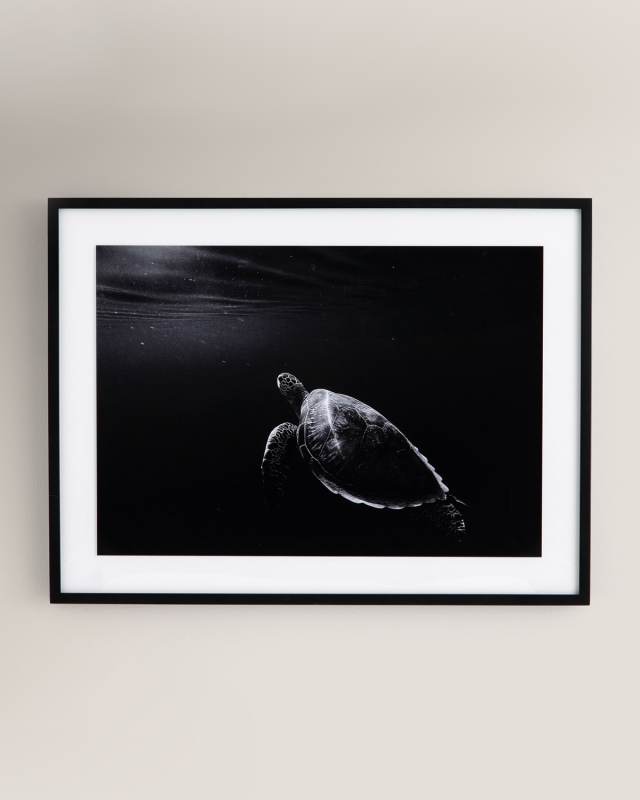 "Just Keep Swimming" Photography Print on Photo Paper Framed Wall Art