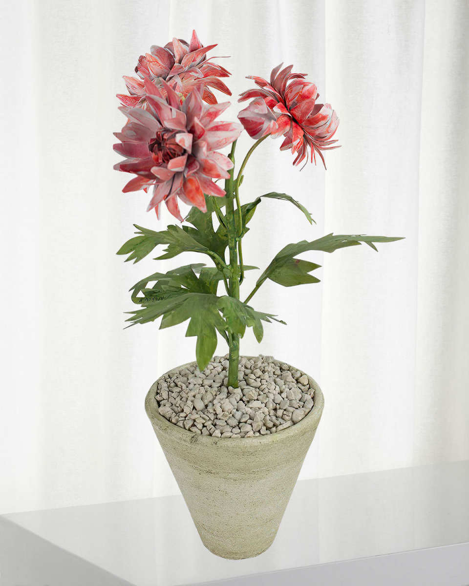 Crysanthemum November Birth Flower in White Terracotta Pot