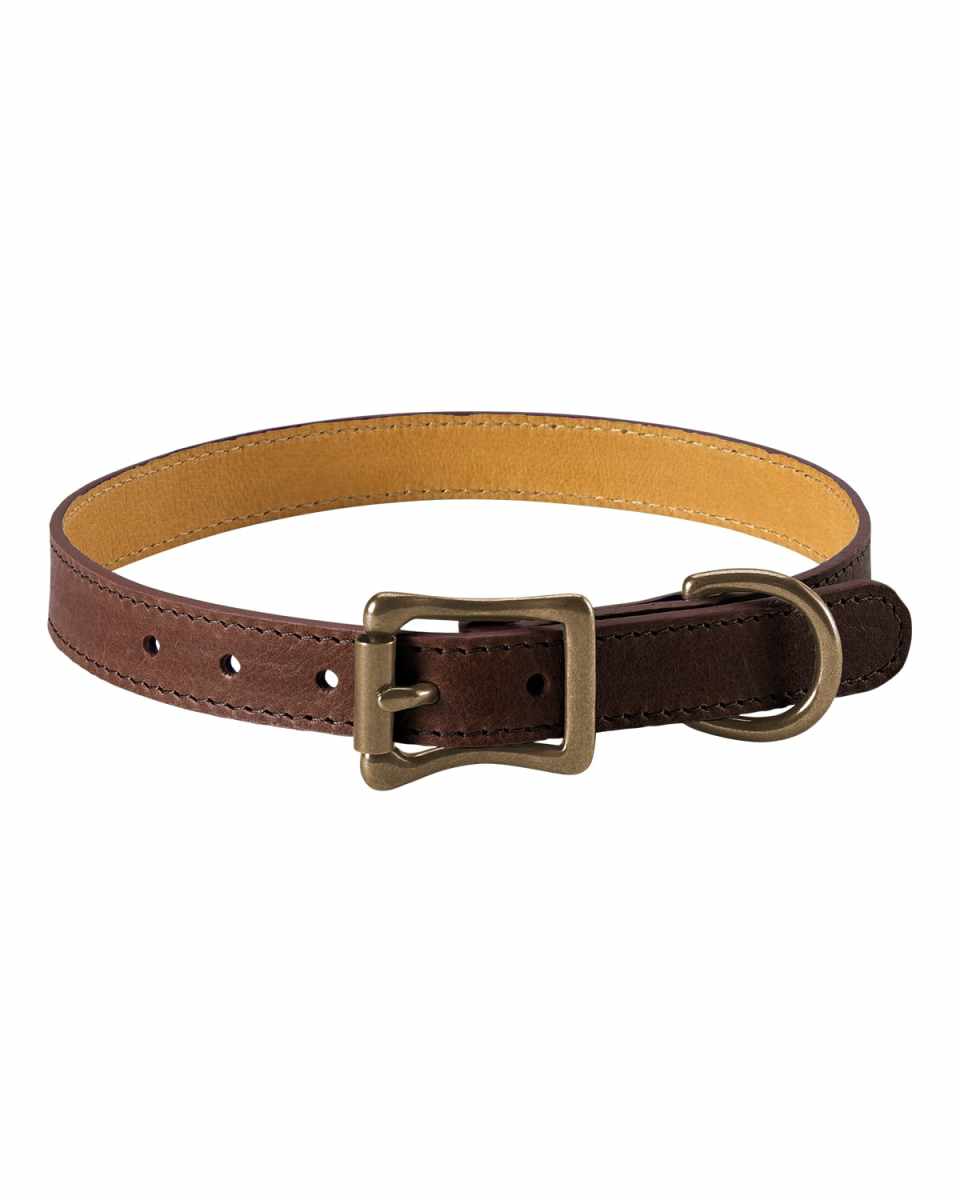 Personalized Medium Dog Collar