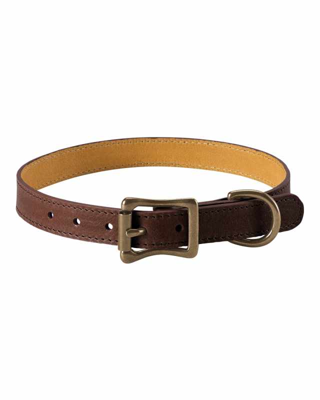 Personalized Medium Dog Collar