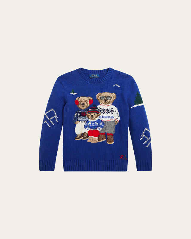 Boy's Polo Bear Intarsia Sweater, Size 2-6