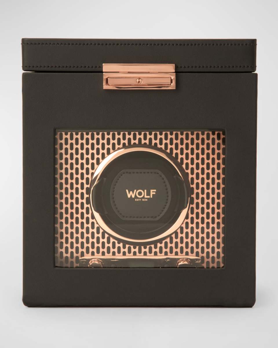 Axis Single Watch Winder with Storage