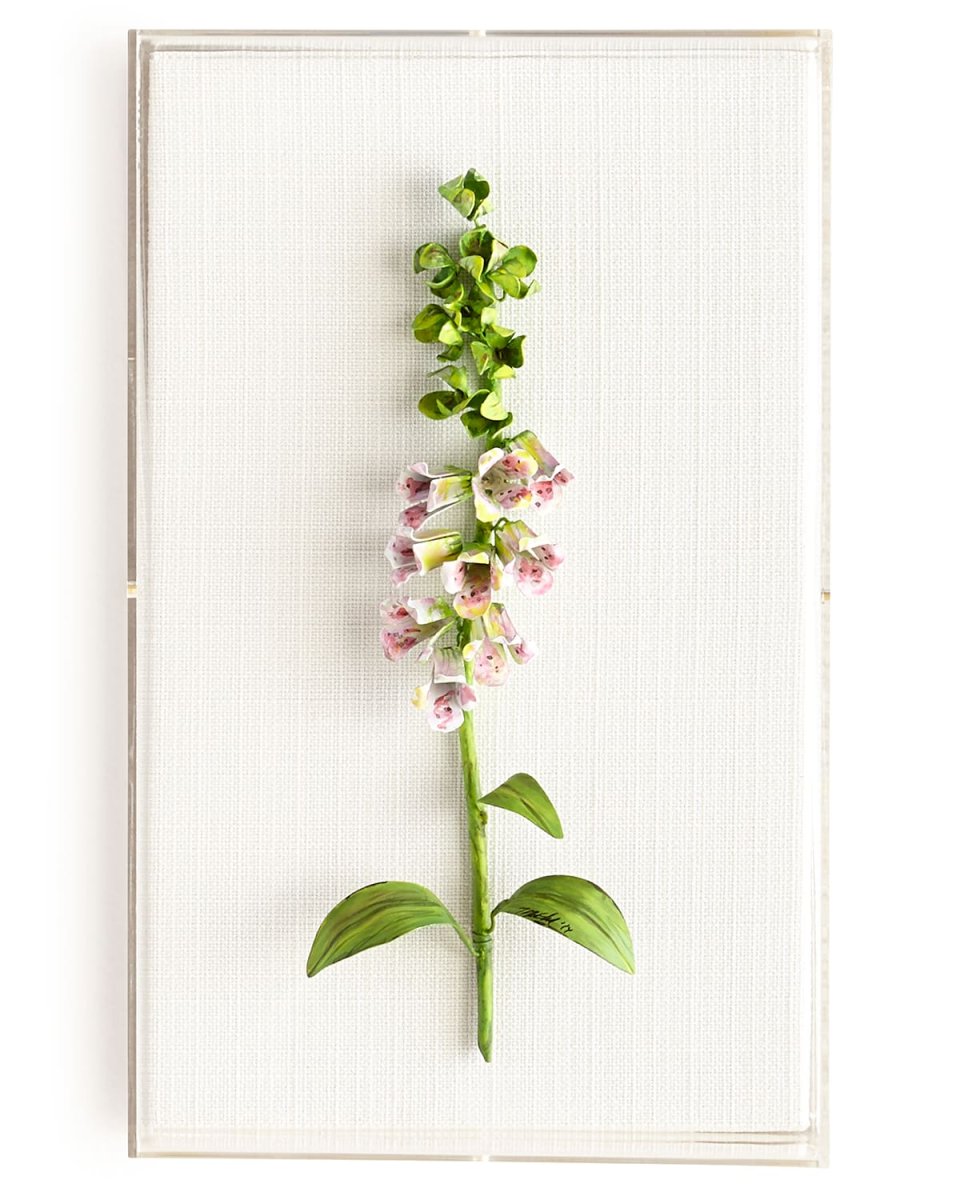 Original Painted Foxglove Study