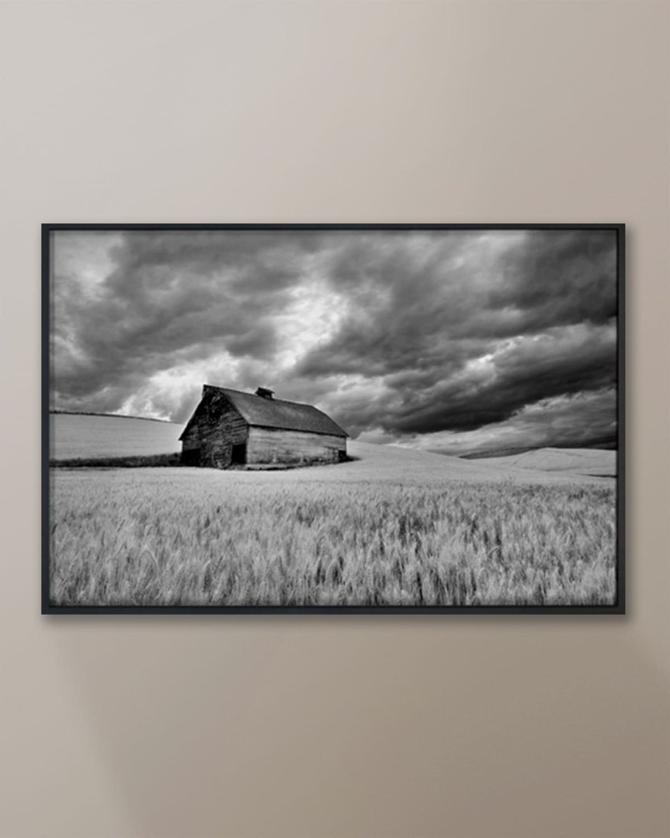 "Barn in the Wheat Field with Approaching Storm" Photo