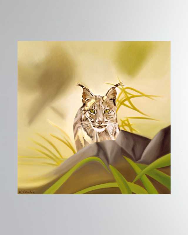 "Lynx" Fine Art Print