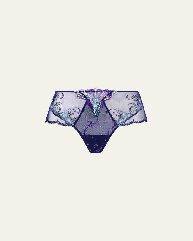 Deesse Desirs Embroidered Tulle Boyshorts