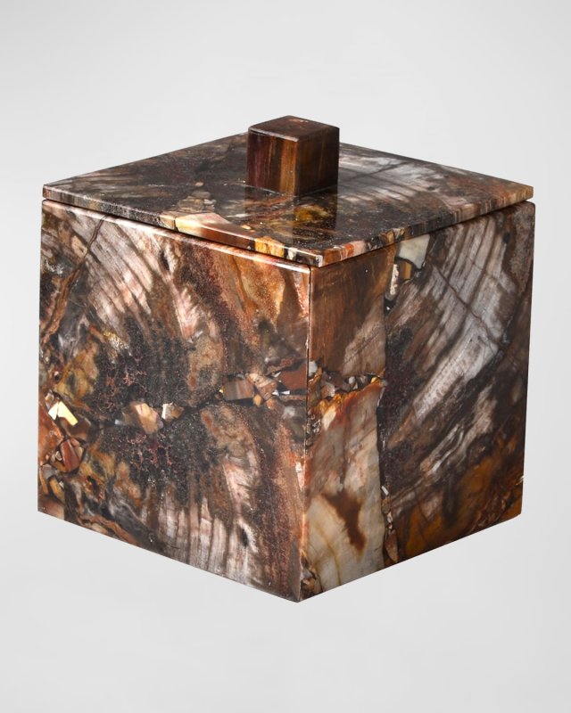 Petrified Wood Box