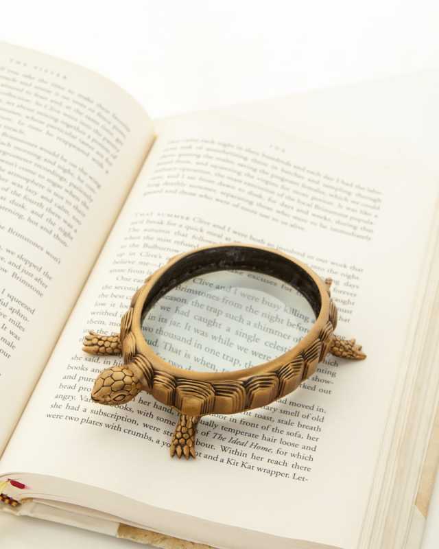 Turtle Magnifying Glass