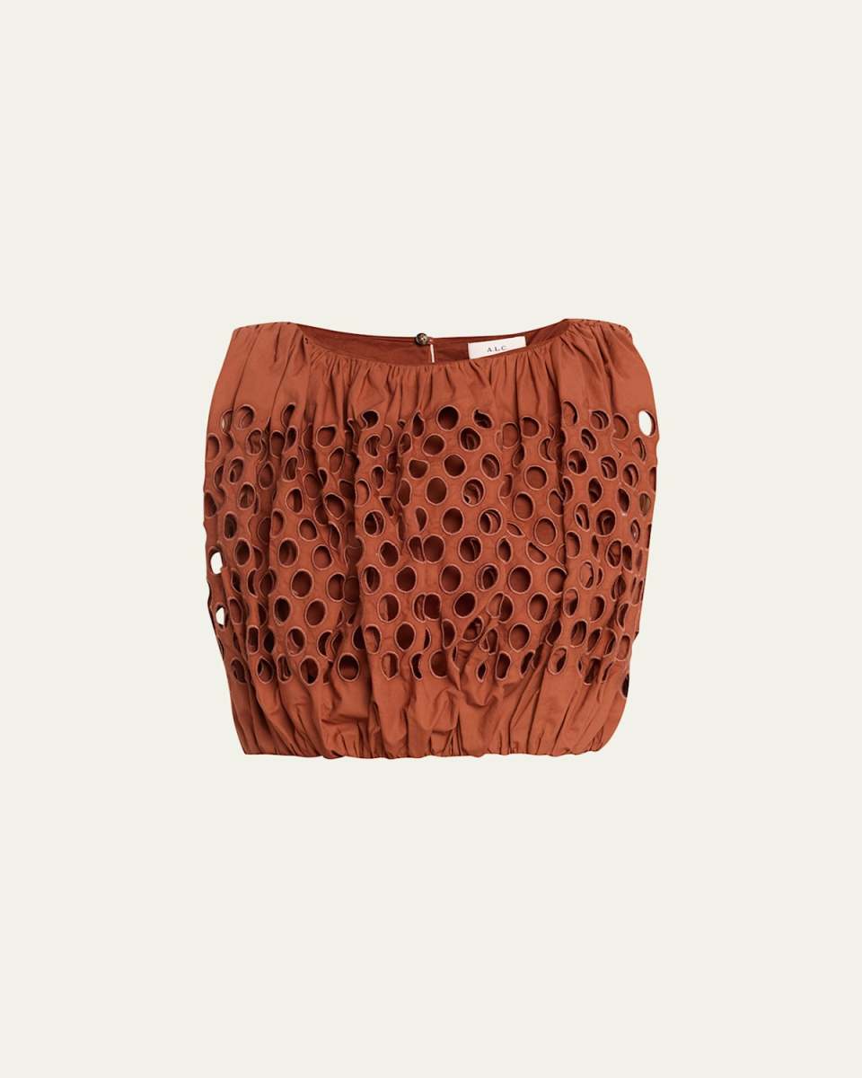 Raina Embroidered Sleeveless Crop Top