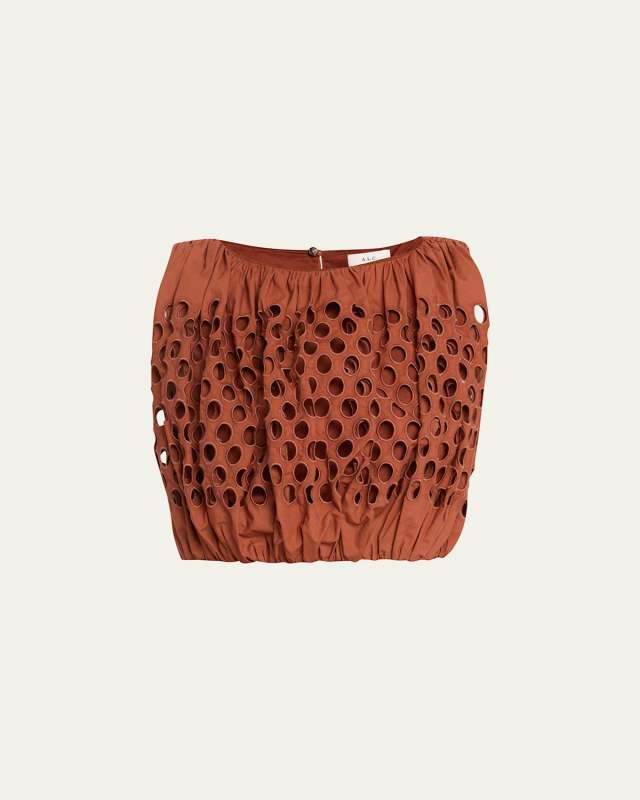Raina Embroidered Sleeveless Crop Top