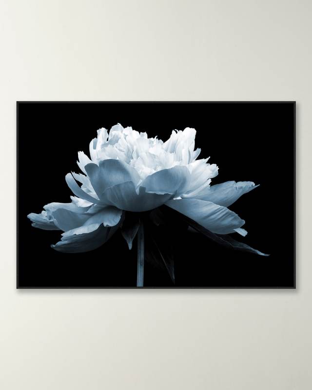 "Midnight Blossom 2" Giclee