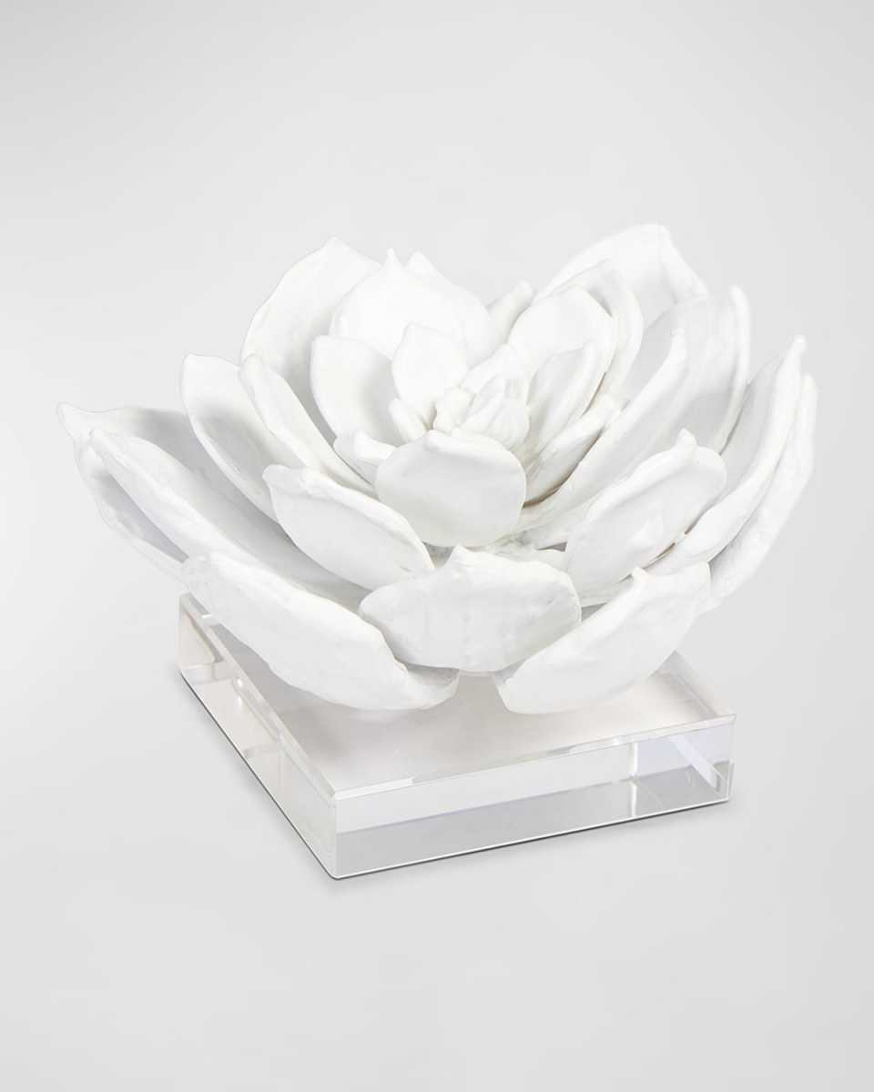 Succulent Sculpture