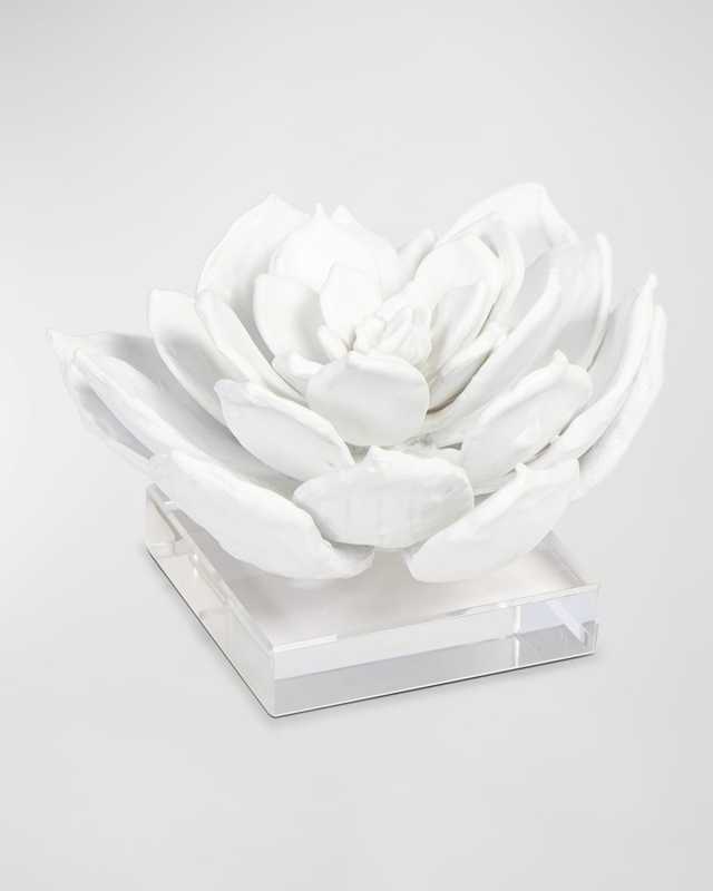 Succulent Sculpture
