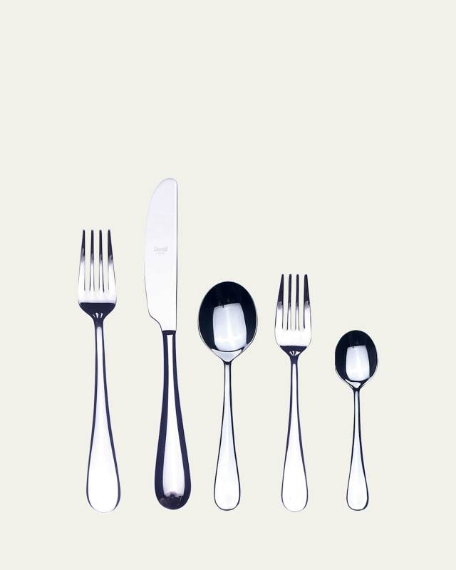 5-Piece Stainless Steel Flatware Place Setting