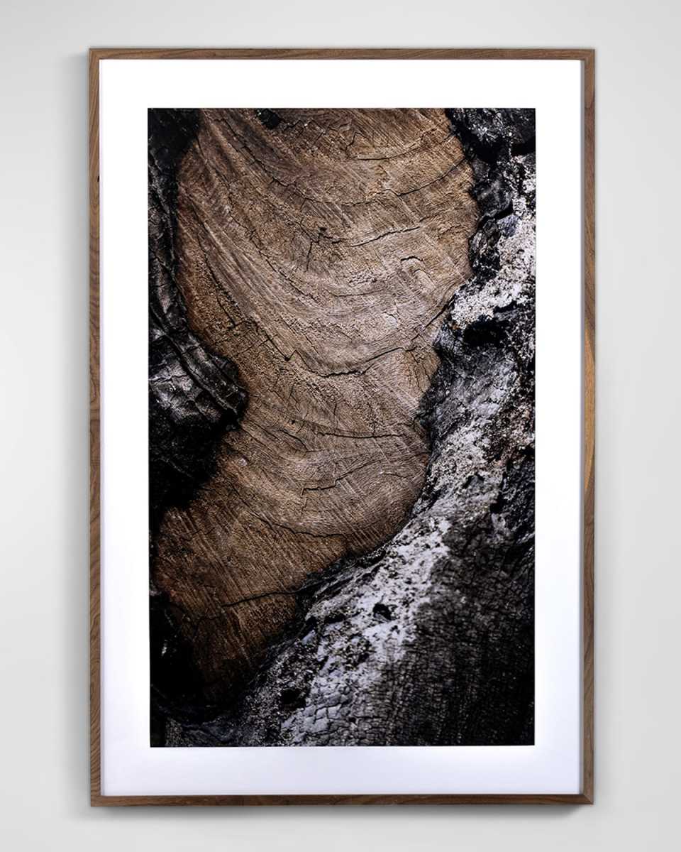 "Char Vi" Photography Print