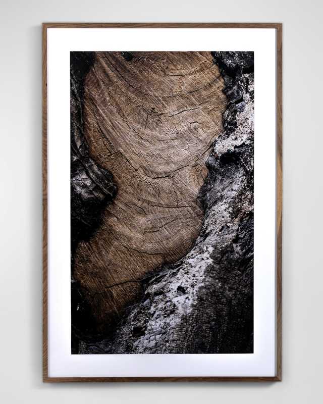 "Char Vi" Photography Print