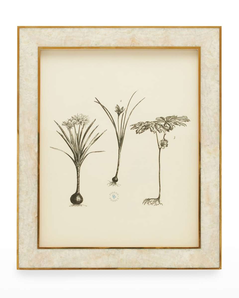 Helena Frame, 8x