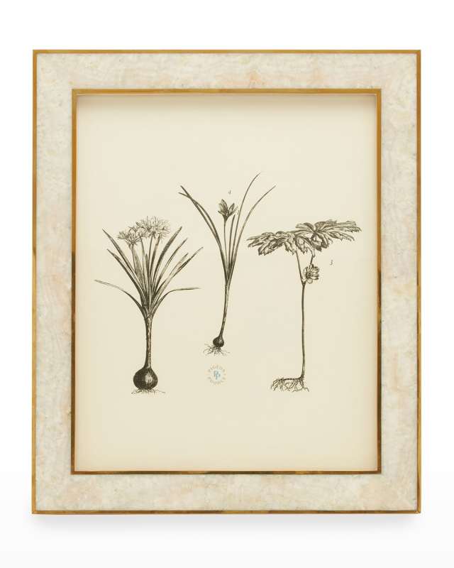 Helena Frame, 8x
