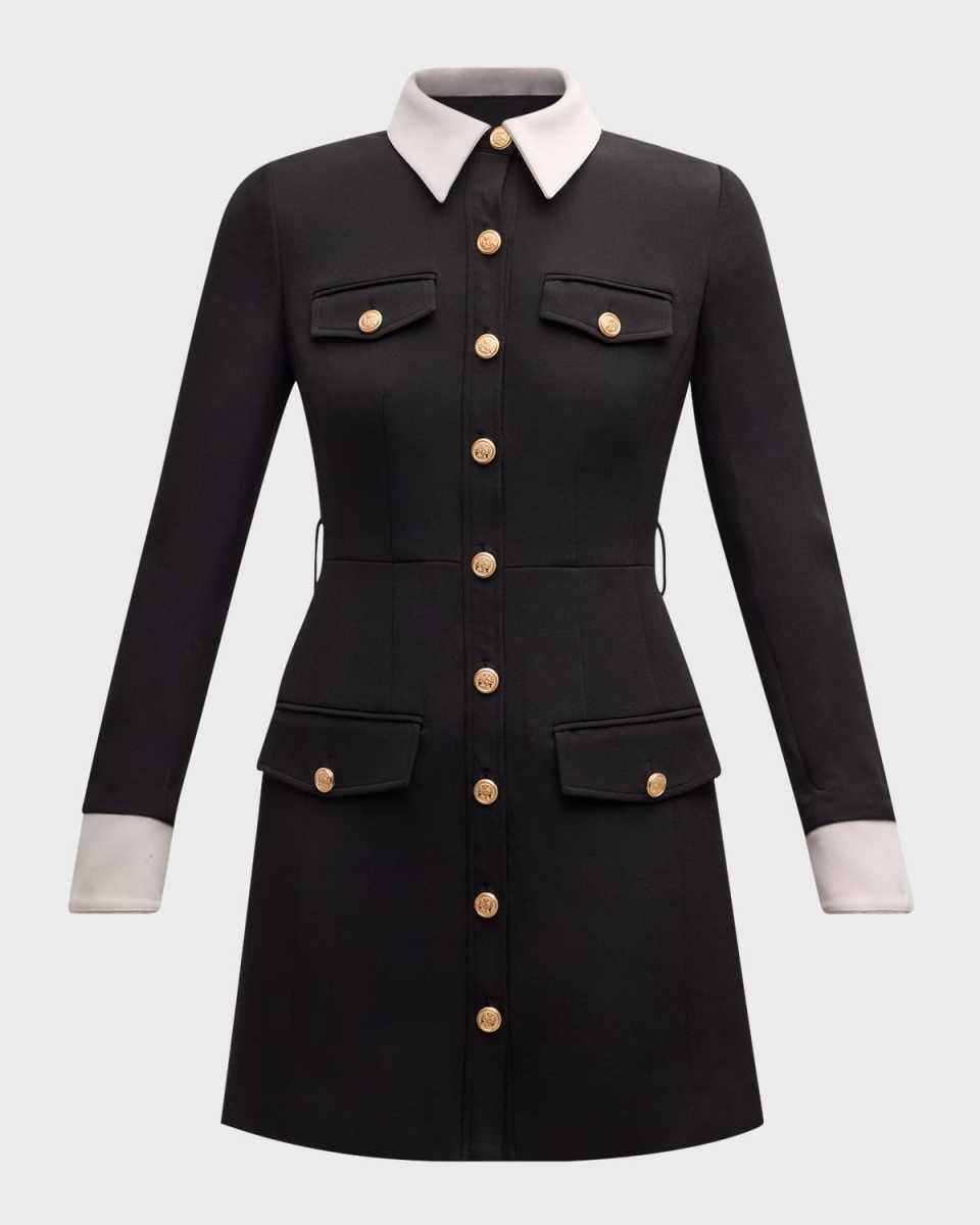 Valerie Long-Sleeve Collared Button-Front Mini Dress