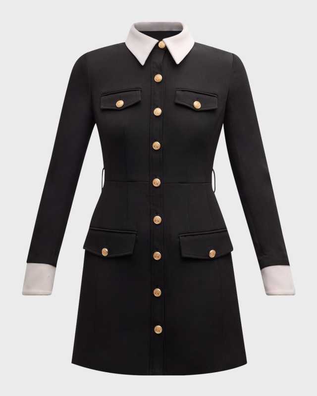 Valerie Long-Sleeve Collared Button-Front Mini Dress