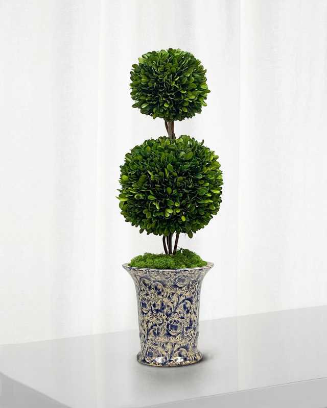 Preserved Double Ball Topiary In Porcelain Vase - 25.5"