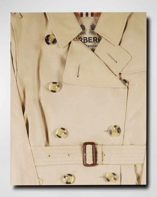 "Burberry" Book by Alexander Fury