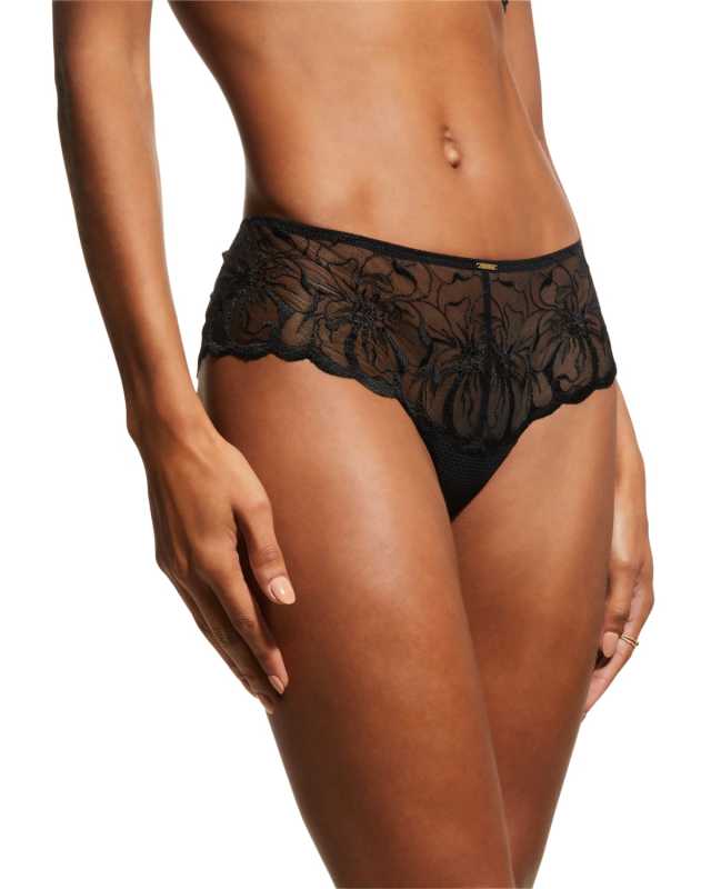 Fleur Sheer Floral-Embroidered Hipster Brief