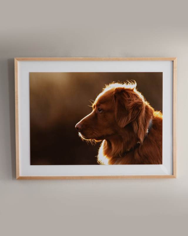 "Golden" Photography Print Framed Handmade Art