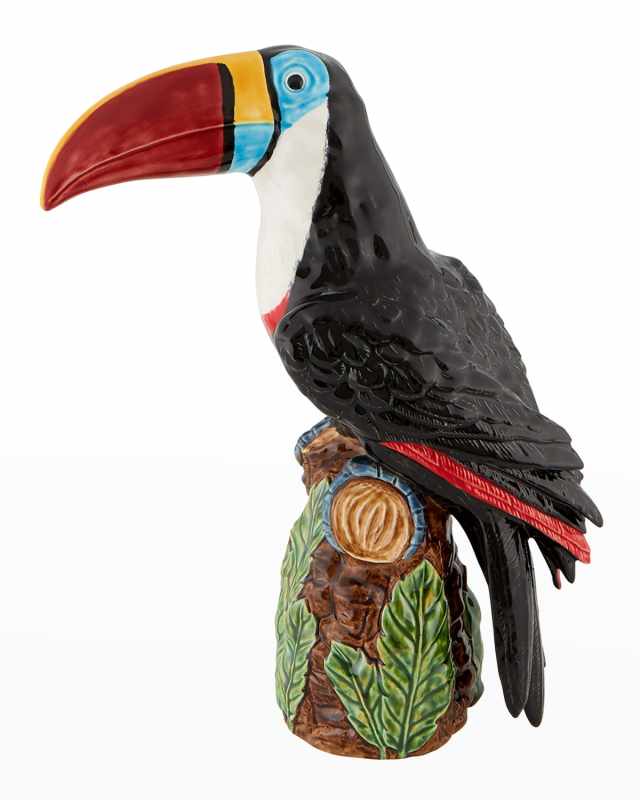 Amazonia Toucan