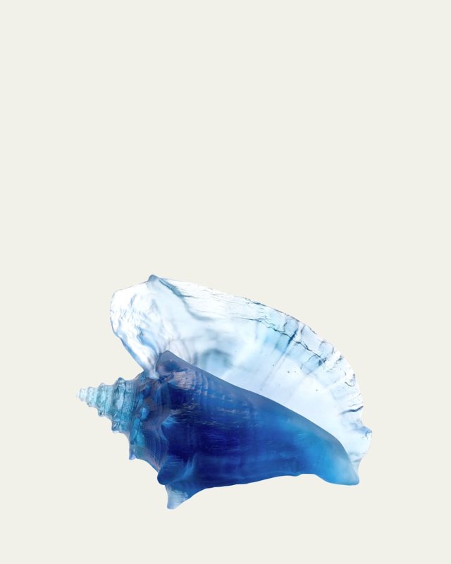 Coral Sea Large Conch Shell