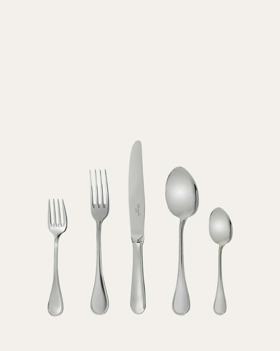 Albi Acier 5-Piece Place Setting