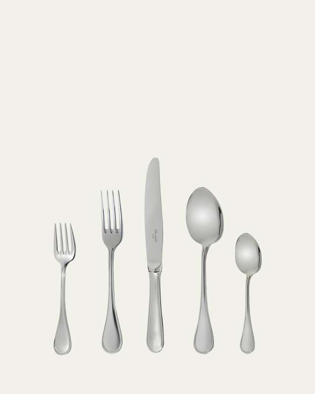 Albi Acier 5-Piece Place Setting