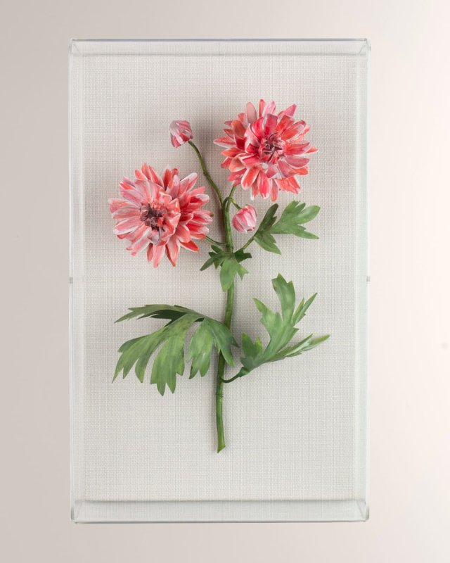 Crysanthemum November Birth Flower Wall Art