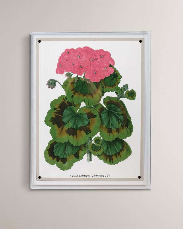 "Geranium III" Giclee Print