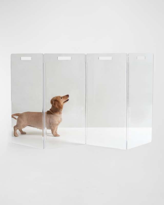 Clear Freestanding Pet Gate Zig Zag, 4-P
