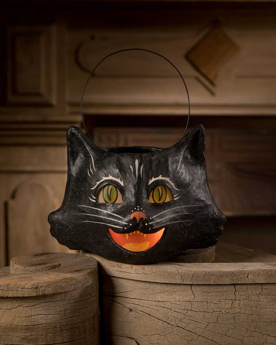 Amusing Black Cat Bucket