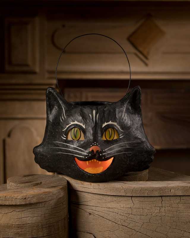 Amusing Black Cat Bucket